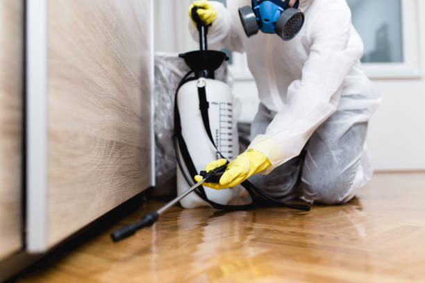 Best Emergency Pest Control  in Pagedale, MO