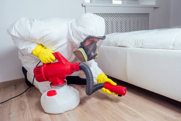 Flea Control Services in Pagedale, MO
