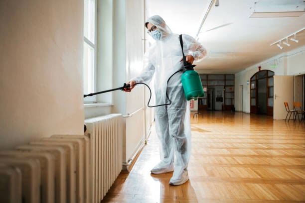 Best Affordable Pest Control Services  in Pagedale, MO