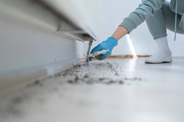 Best Residential Pest Control  in Pagedale, MO