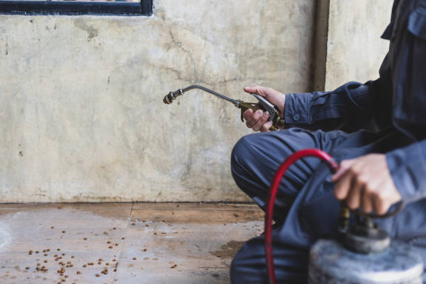 Pest Control Cost in Pagedale, MO