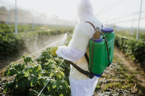 Best Pest Control Near Me  in Pagedale, MO